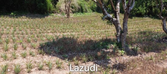  Commercial property in Chiang Rai, Thailand No. 16831 9