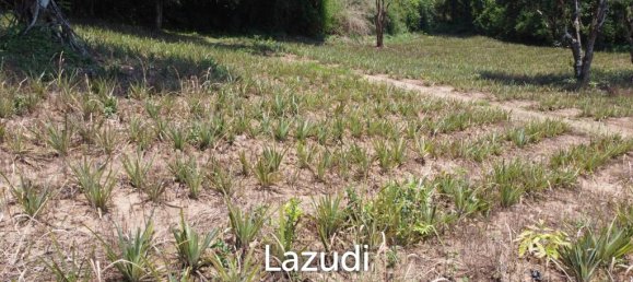  Commercial property in Chiang Rai, Thailand No. 16831 10