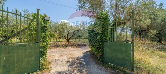 3 Schlafzimmer Villa in Velletri, Italy, Nr. 308677 22