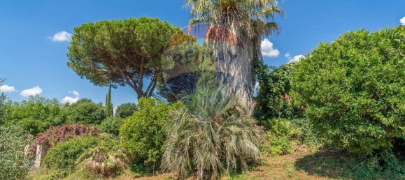 3 Schlafzimmer Villa in Velletri, Italy, Nr. 308677 16