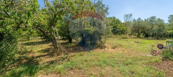 3 Schlafzimmer Villa in Velletri, Italy, Nr. 308677 17