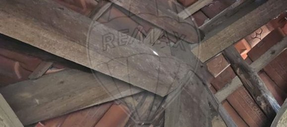 3 غرف نوم منزل في Sao Joao da Pesqueira, Portugal رقم 165831 12