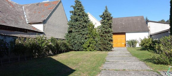 4 rooms House in Nikitsch, Austria No. 126519 14