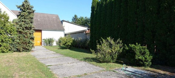 4 rooms House in Nikitsch, Austria No. 126519 15