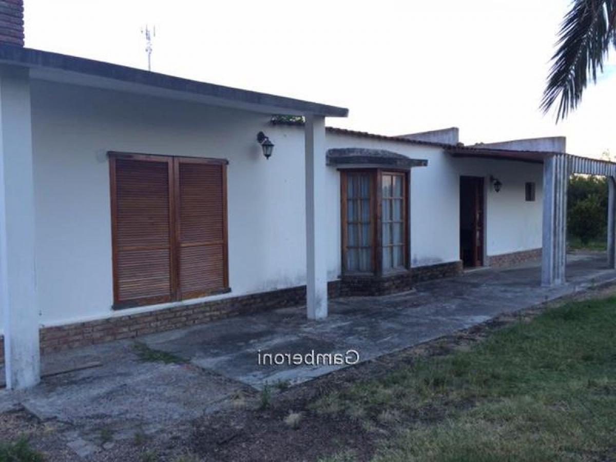 3 bedrooms House in Montevideo, Uruguay No. 9077