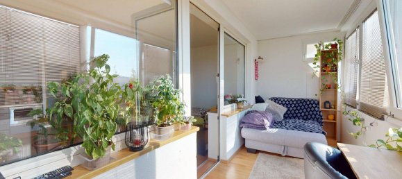 Studio in Biedermannsdorf, Austria No. 236598 9