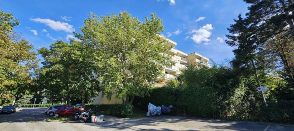 Studio in Biedermannsdorf, Austria No. 236598 21