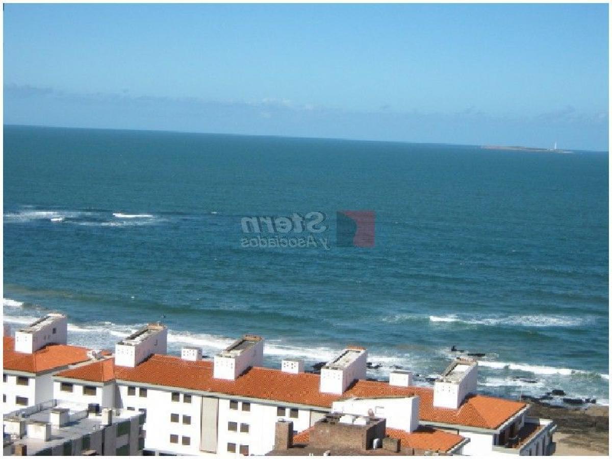 Estudio en Maldonado, Uruguay No. 7437