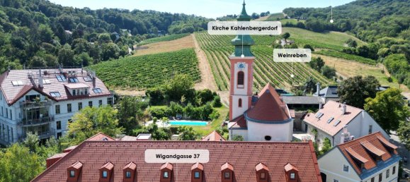 Studio in Dobling, Austria No. 172118 21