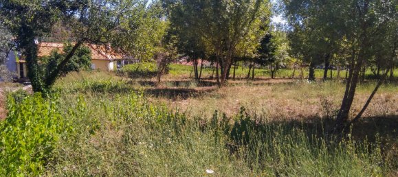 5 Schlafzimmer Schlösser in Viseu, Portugal, Nr. 58298 28