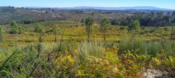 5 Schlafzimmer Schlösser in Viseu, Portugal, Nr. 58298 38