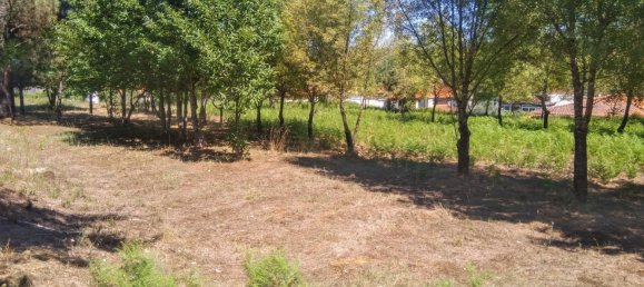 5 Schlafzimmer Schlösser in Viseu, Portugal, Nr. 58298 16