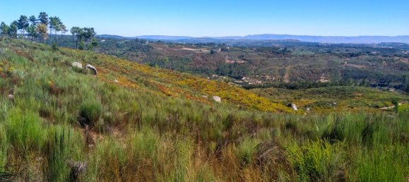 5 Schlafzimmer Schlösser in Viseu, Portugal, Nr. 58298 33