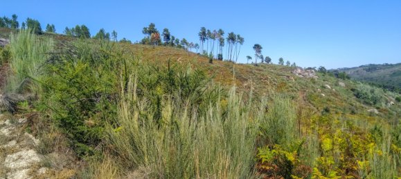 5 Schlafzimmer Schlösser in Viseu, Portugal, Nr. 58298 39