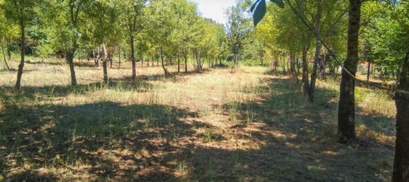 5 Schlafzimmer Schlösser in Viseu, Portugal, Nr. 58298 17