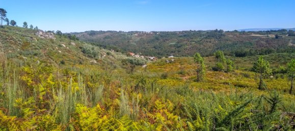 5 Schlafzimmer Schlösser in Viseu, Portugal, Nr. 58298 37