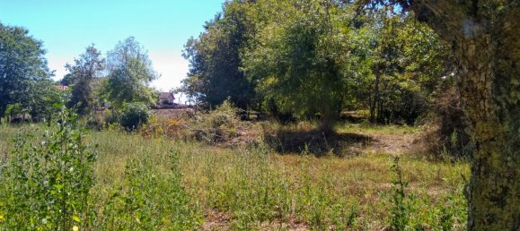 5 Schlafzimmer Schlösser in Viseu, Portugal, Nr. 58298 21