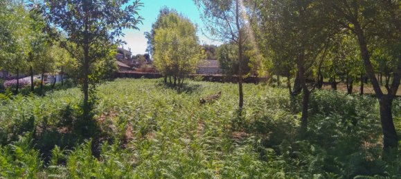 5 Schlafzimmer Schlösser in Viseu, Portugal, Nr. 58298 29