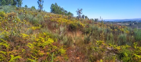 5 Schlafzimmer Schlösser in Viseu, Portugal, Nr. 58298 32