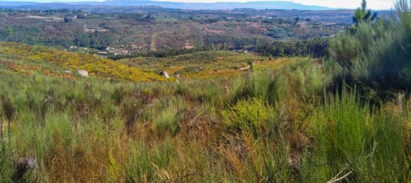 5 Schlafzimmer Schlösser in Viseu, Portugal, Nr. 58298 34