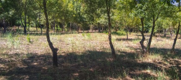 5 Schlafzimmer Schlösser in Viseu, Portugal, Nr. 58298 18