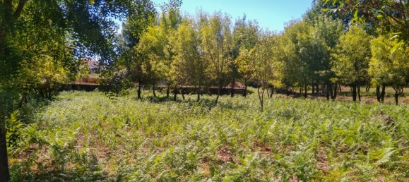 5 Schlafzimmer Schlösser in Viseu, Portugal, Nr. 58298 30