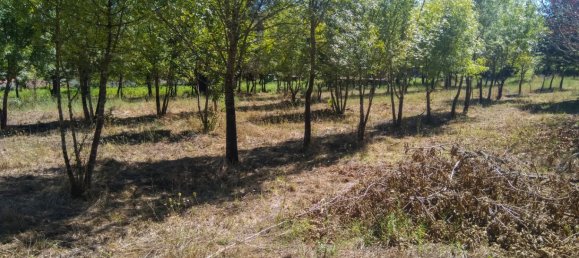 5 Schlafzimmer Schlösser in Viseu, Portugal, Nr. 58298 27