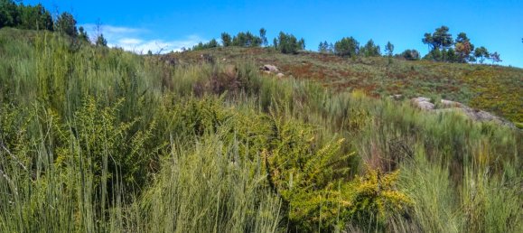 5 Schlafzimmer Schlösser in Viseu, Portugal, Nr. 58298 36