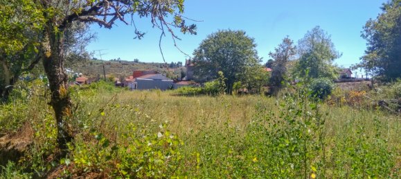 5 Schlafzimmer Schlösser in Viseu, Portugal, Nr. 58298 22