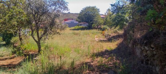 5 Schlafzimmer Schlösser in Viseu, Portugal, Nr. 58298 23