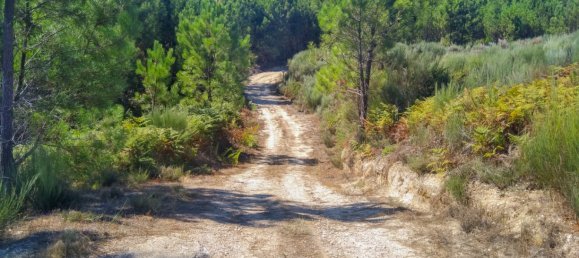 5 Schlafzimmer Schlösser in Viseu, Portugal, Nr. 58298 40