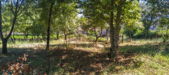 5 Schlafzimmer Schlösser in Viseu, Portugal, Nr. 58298 25