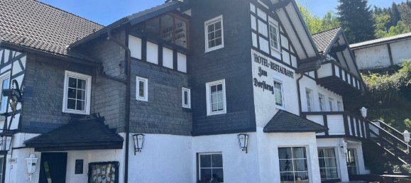 Hotel en Hochsauerlandkreis, Germany 501 m² No. 263113 2