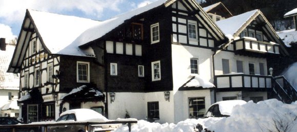 Hotel en Hochsauerlandkreis, Germany 501 m² No. 263113 5