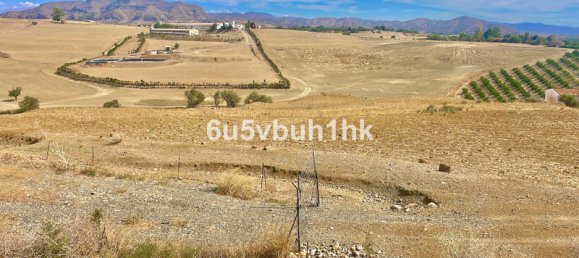 Land in Cartama, Spain No. 149172 3