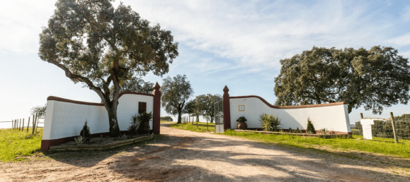 8 Schlafzimmer Schlösser in Avis, Portugal, Nr. 138548 48