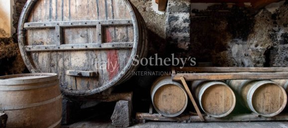 Дом с 16 спальнями в Кастильоне ди Сицилия, Италия № 83789 25