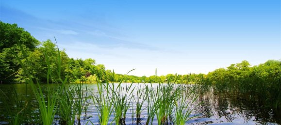 6 غرف نوم منزل ذو طابقين في Grunewald, Germany رقم 31532 6