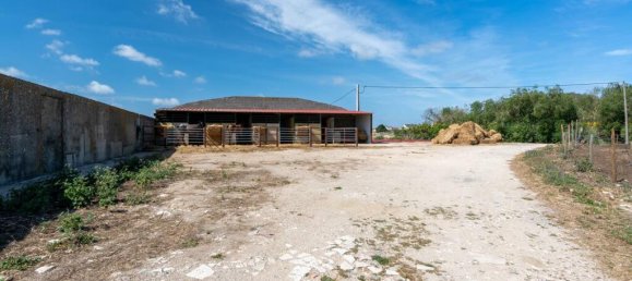 13 chambres Châteaux à Sintra, Portugal No. 120297 10