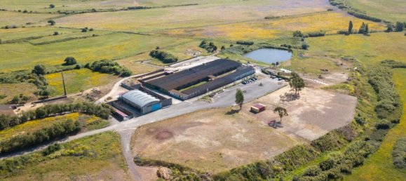 13 chambres Châteaux à Sintra, Portugal No. 120297 15
