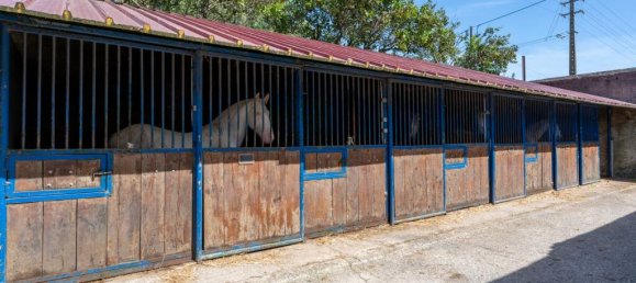 13 chambres Châteaux à Sintra, Portugal No. 120297 11