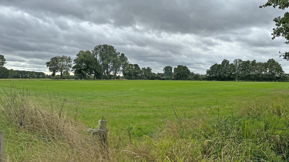 26707m² Land in Wesel, Germany No. 365310