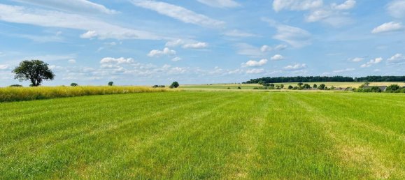  Land in Rhineland-Palatinate, Germany No. 135758 2