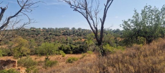 450m² Land in Loule, Portugal No. 137817 18