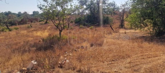 450m² Land in Loule, Portugal No. 137817 6