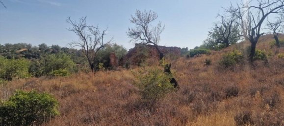 450m² Land in Loule, Portugal No. 137817 12