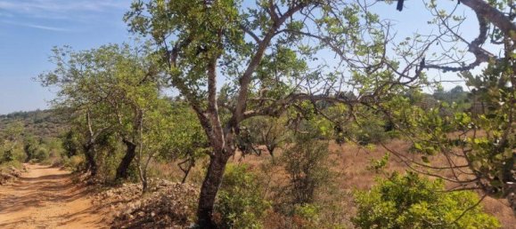 450m² Land in Loule, Portugal No. 137817 31