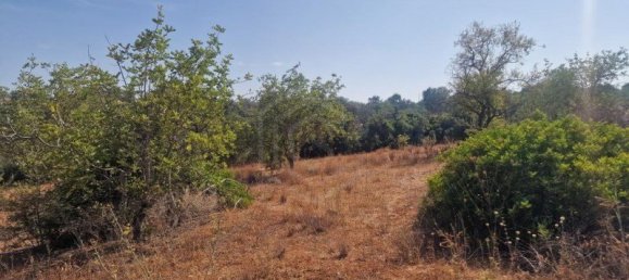 450m² Land in Loule, Portugal No. 137817 22