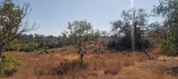 450m² Land in Loule, Portugal No. 137817 5