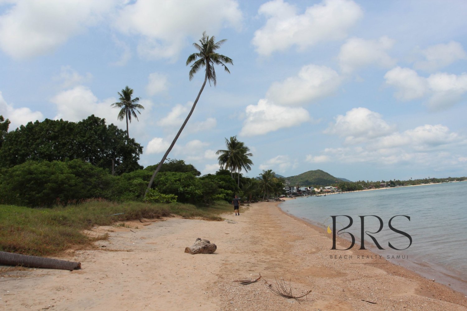  Commercial property in Ko Samui, Thailand No. 5729